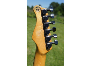 Valley Arts Guitars Custom Pro (98472)