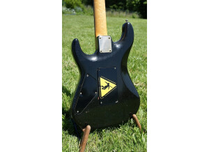Valley Arts Guitars Custom Pro (13923)