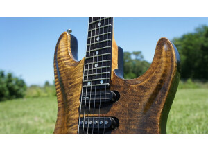 Valley Arts Guitars Custom Pro (51091)
