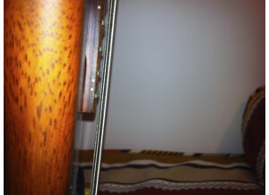 Peavey Cirrus 4 Bxp Natural