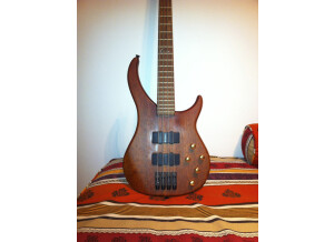 Peavey Cirrus BXP Bubinga
