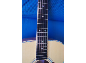 Guitares Boucher AVT Mahogany Goose (60555)