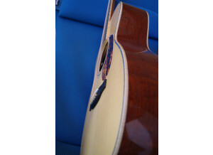 Guitares Boucher AVT Mahogany Goose (26475)