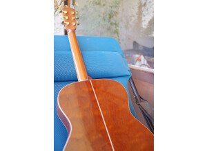 Guitares Boucher AVT Mahogany Goose (91231)