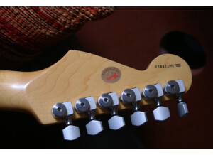 Fender Stratocaster Lone Star