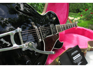 Gibson ES-175 Vintage (66384)