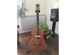 Cort Earth 900 (71914)