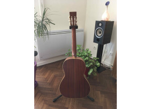 Cort Earth 900 (47846)