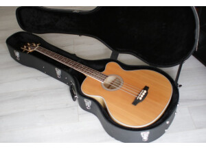 Takamine GB72CE (61972)