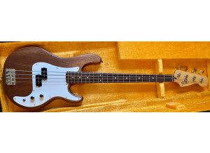 Fender Standard Precision Bass [2009-2018] (67616)