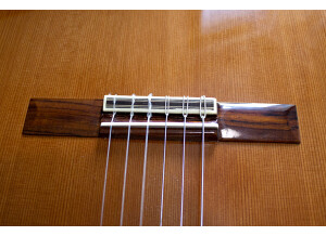 Alhambra Guitars 3 C A CW E1