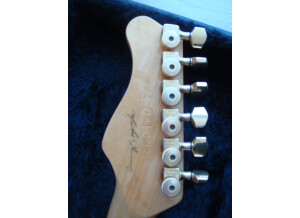 Valley Arts Guitars Custom Pro (82053)