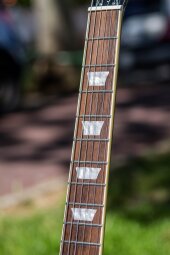 LPstandard60s-20 LPstandard60s-20