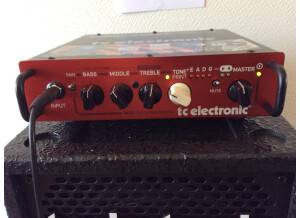 TC Electronic BH250 (31205)
