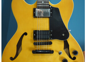 Ibanez AS50 (790)
