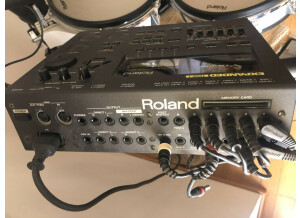 Roland TDW1