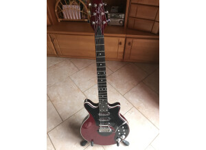 Brian May Guitars Special (10600)