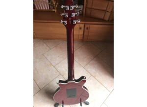 Brian May Guitars Special (3555)