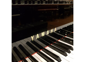 Yamaha-G2-Baby-Grand-Piano-at-Sherwood-Phoenix-Pianos-3610745-4
