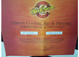 Gibson SG Standard Reissue VOS (41969)