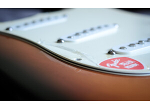 Fender Standard Stratocaster [1990-2005] (76363)
