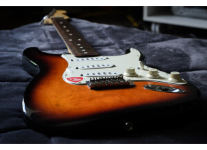 Fender Standard Stratocaster [1990-2005] (72356)
