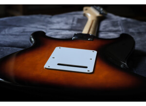 Fender Standard Stratocaster [1990-2005] (8370)
