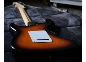 Fender Standard Stratocaster [1990-2005] (31952)