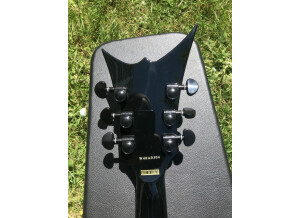 DBZ Guitars Venom (21452)