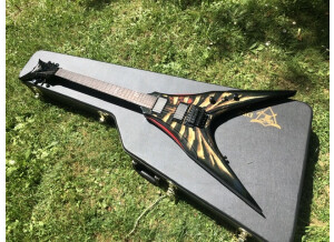 DBZ Guitars Venom (84306)