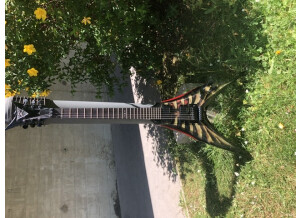 DBZ Guitars Venom (23300)