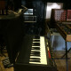 Bass Synthesizer AP-6 Bass Synthesizer AP-6