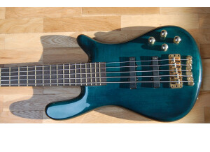 Warwick Streamer LX 5 (4565)