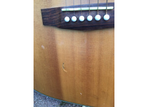 9B59F31A-4528-4369-B052-DC439A3B719A