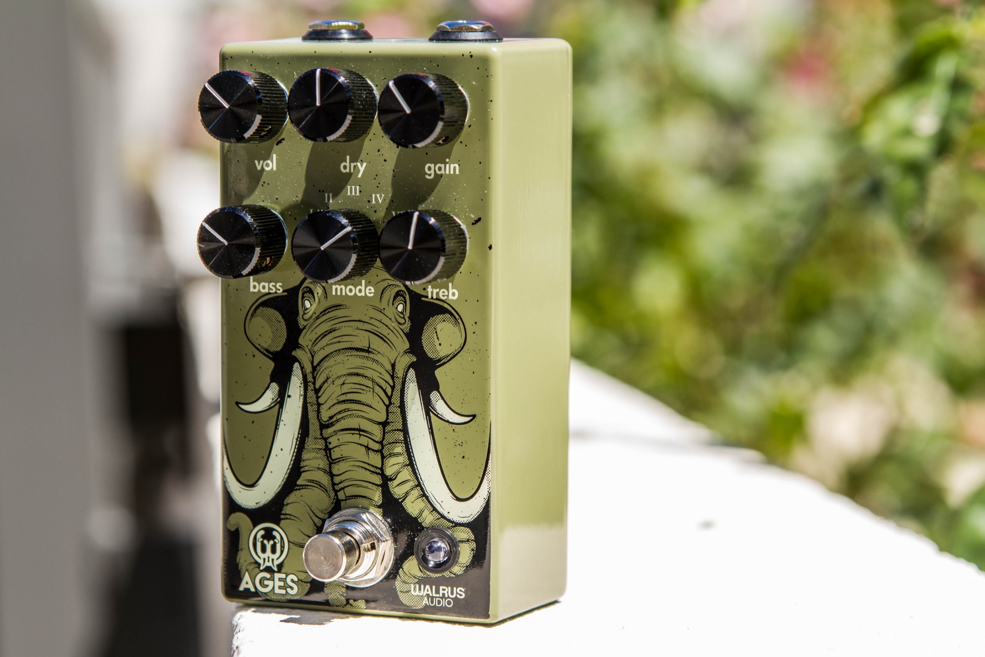 WalrusAudioAgesOverdrive-9