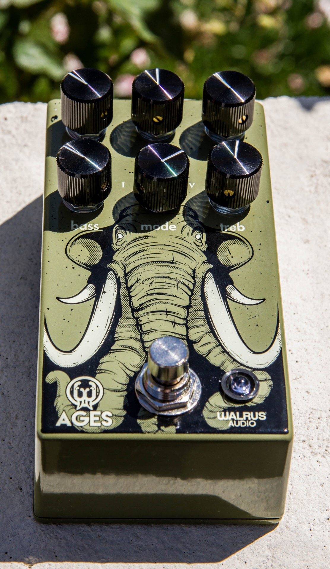WalrusAudioAgesOverdrive-12