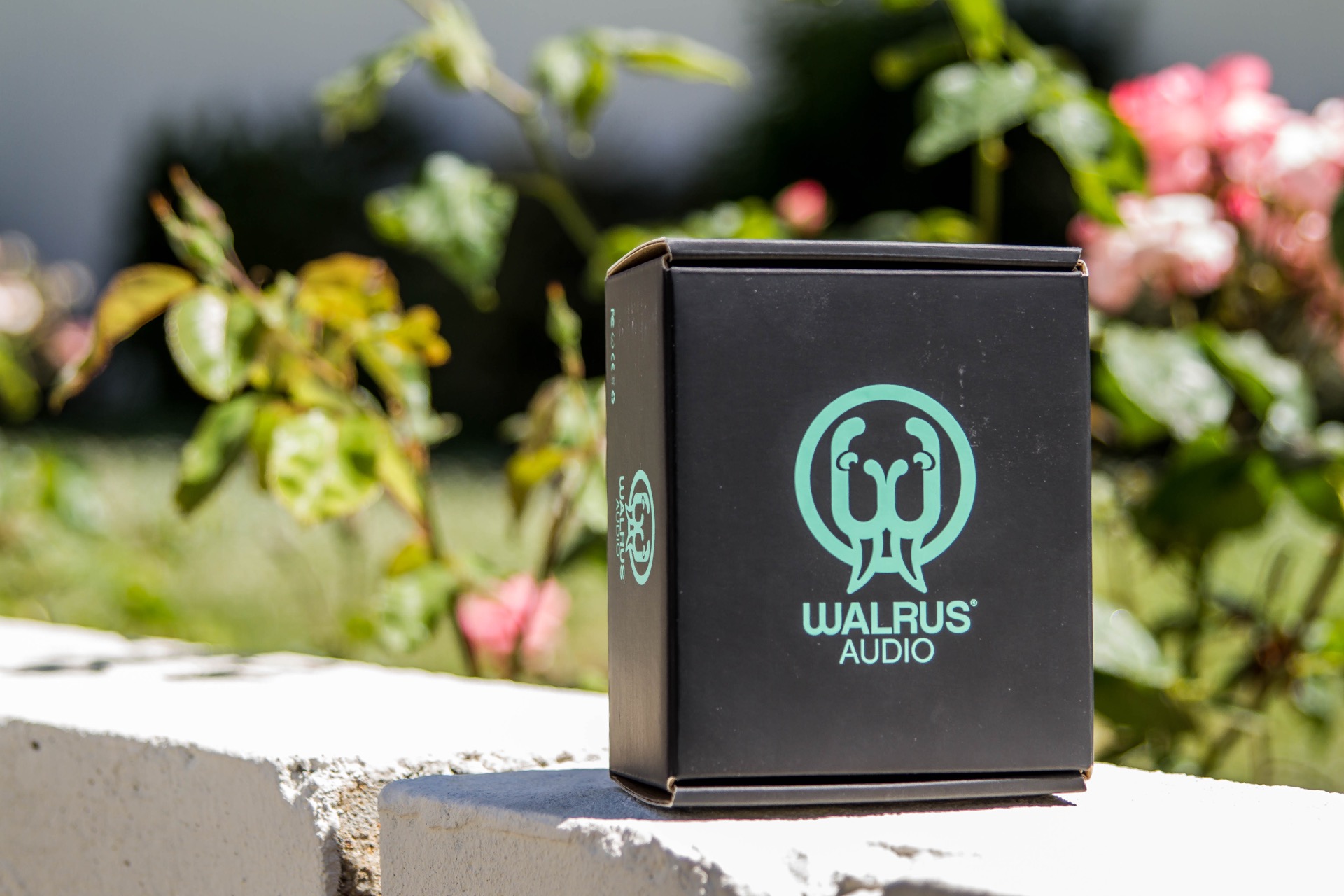 WalrusAudioAgesOverdrive
