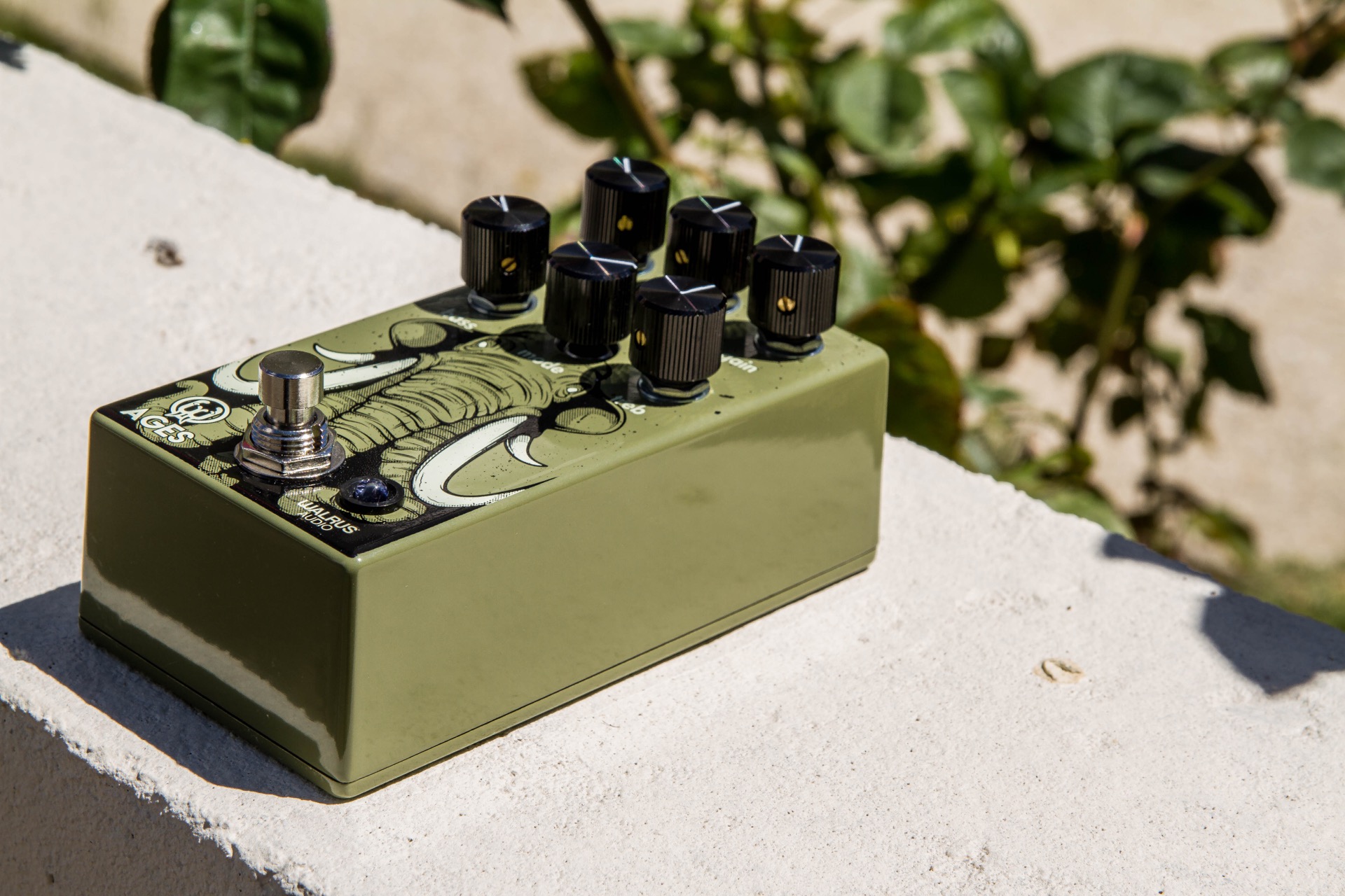 WalrusAudioAgesOverdrive-13