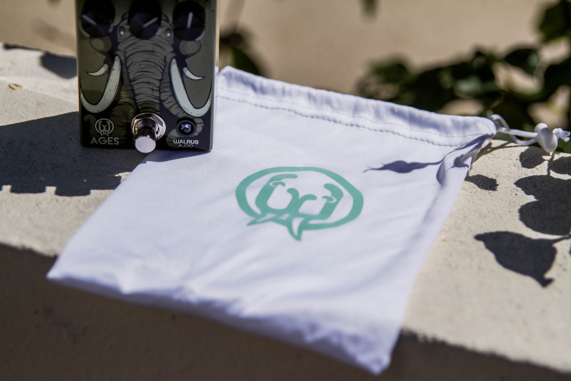 WalrusAudioAgesOverdrive-14