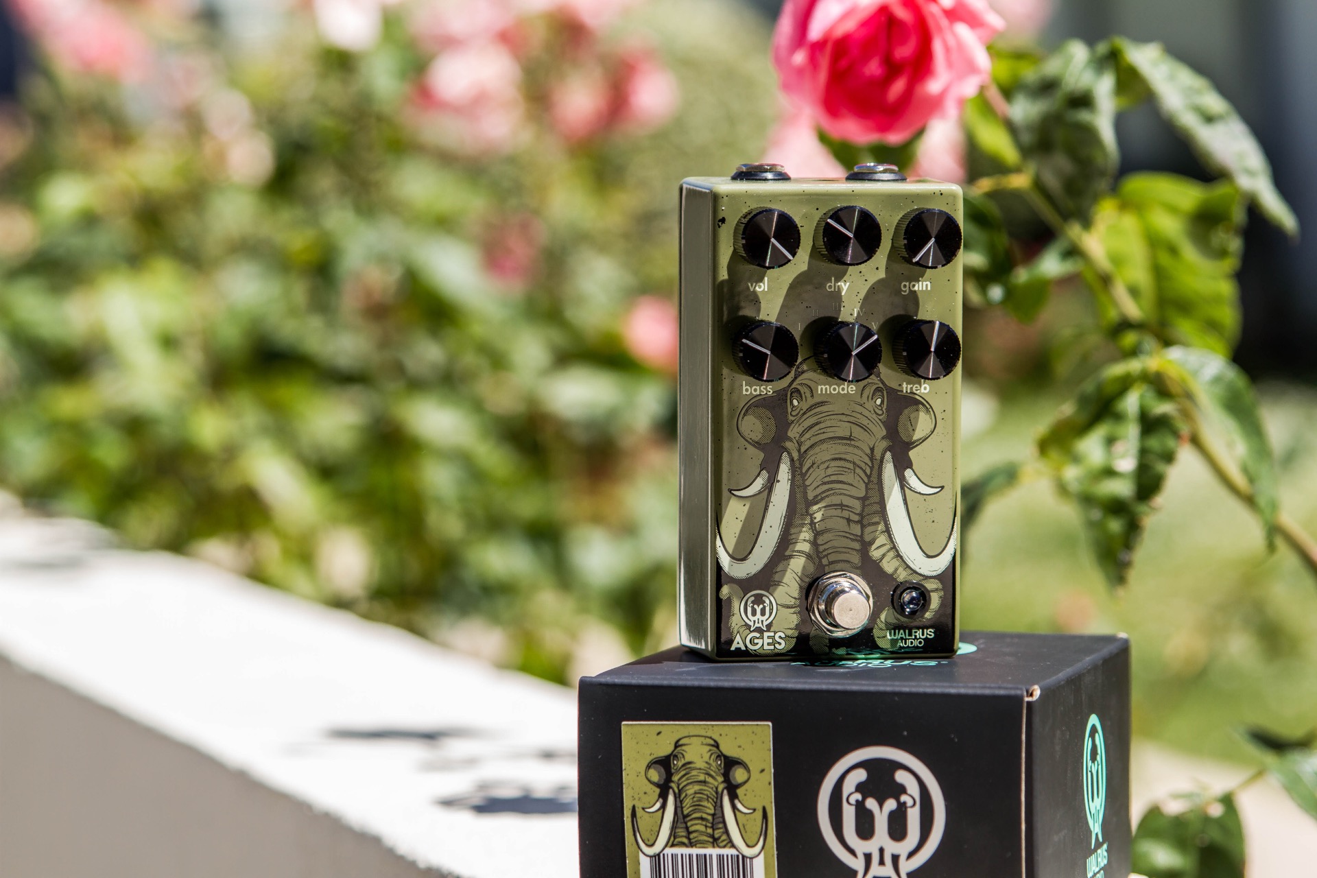 WalrusAudioAgesOverdrive-3