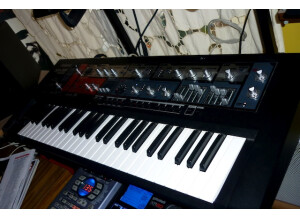 Roland SH-201 (64449)