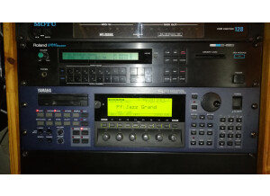 Roland PG-1000 Synth Programmer (934)