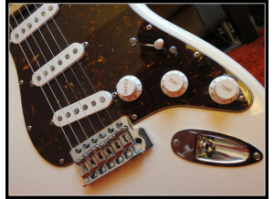 Fender [Deluxe Series] Roadhouse Stratocaster - Artic White
