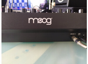 101667757_1137447949949266_4486611240713453568_n