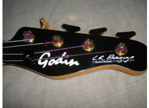 Godin bass EB-FL Lr Baggs