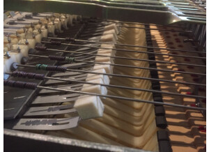 Fender Rhodes Mark I Stage Piano (50979)