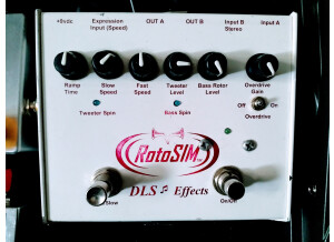 DLS Effects RotoSim