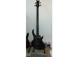 Epiphone Toby Deluxe IV (37758)