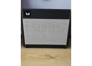 Morgan Amplification SW22RC (2593)