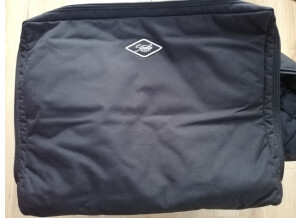 Morgan Amplification SW22RC (47399)